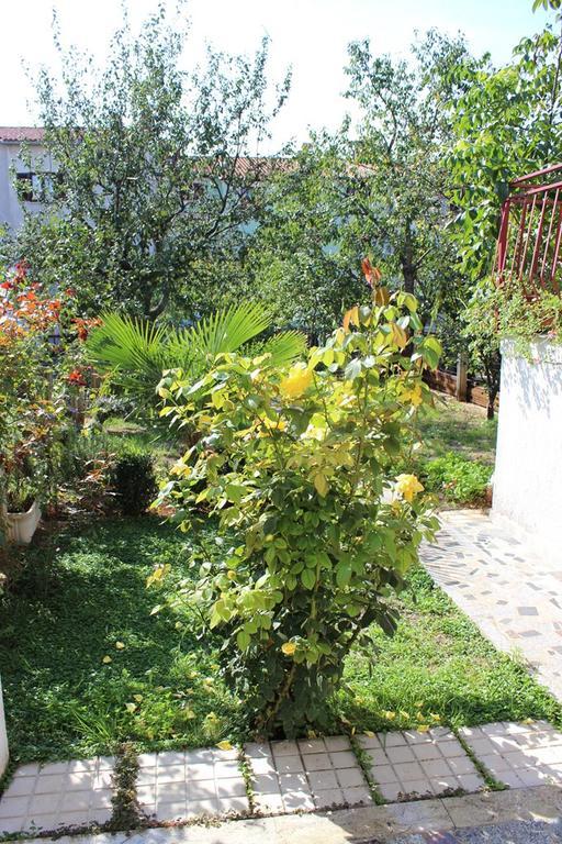 Pet Friendly Apartment In Porec With Wifi Room photo